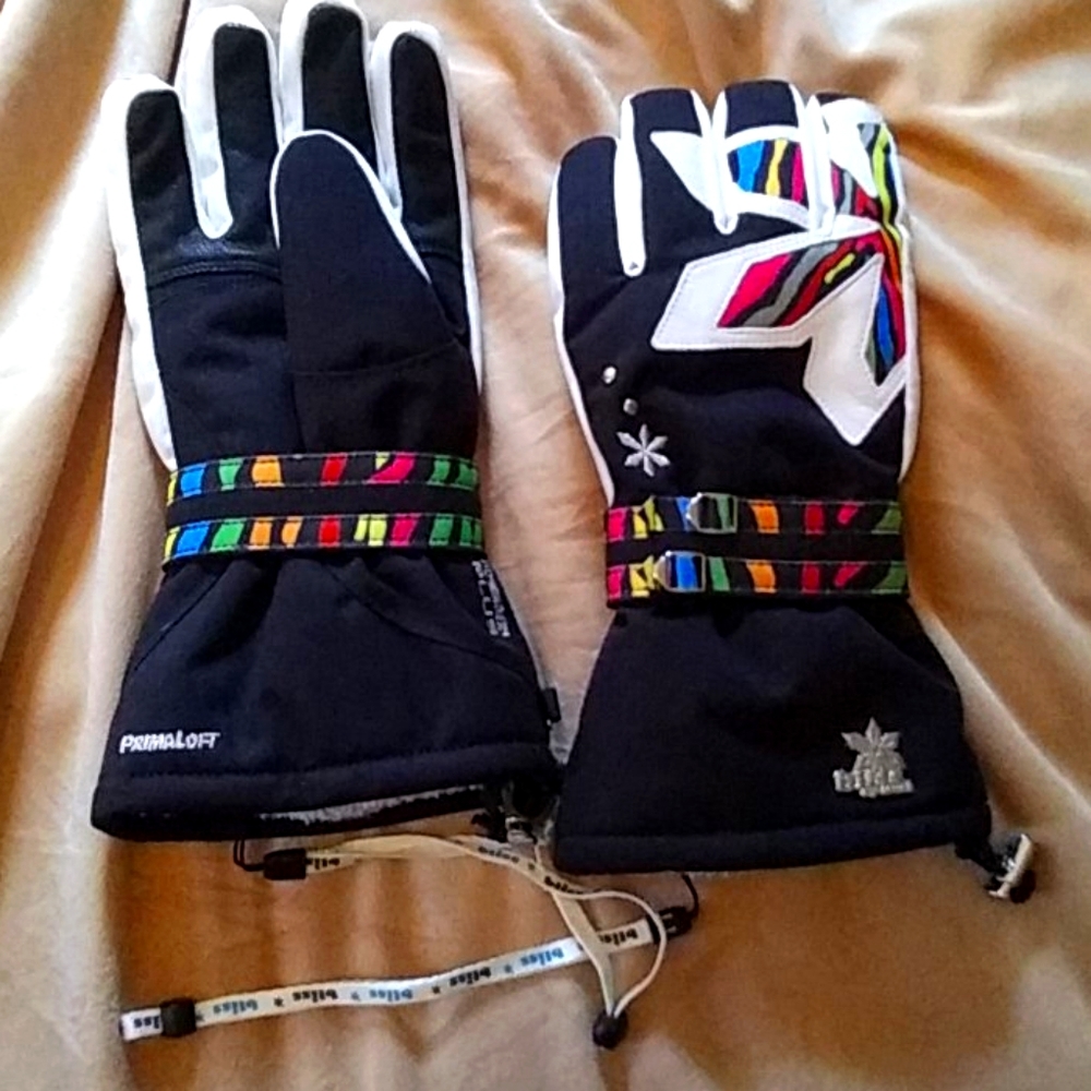 Ski Gloves